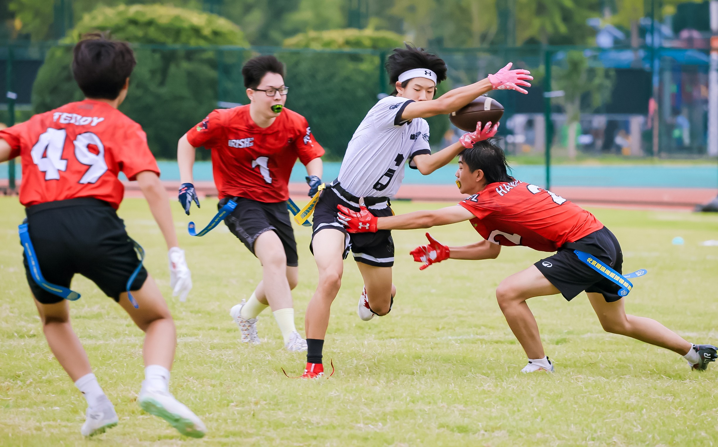 全球瞩目！橄榄球赛事即将收官