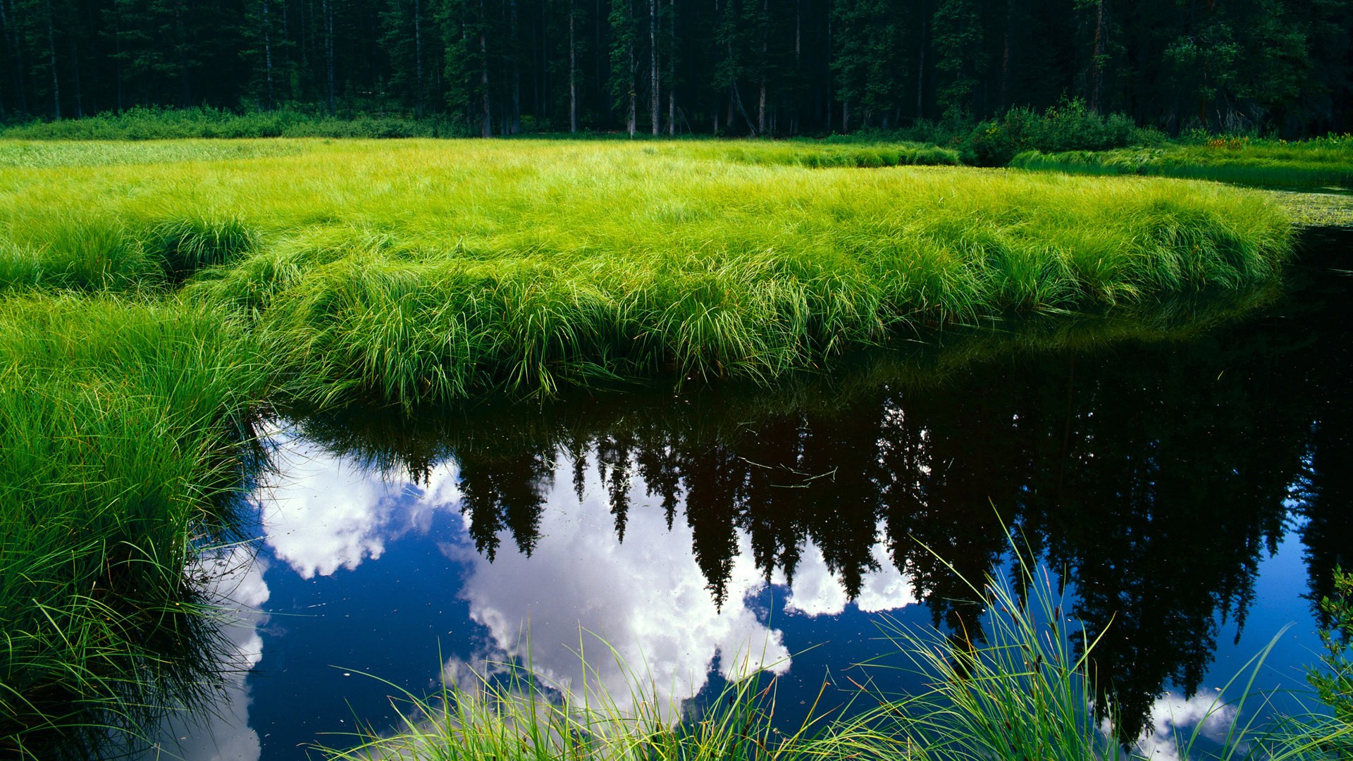 爱游戏娱乐-从悉尼到纽约，德约科维奇如何用联合杯火种引爆美网核爆点