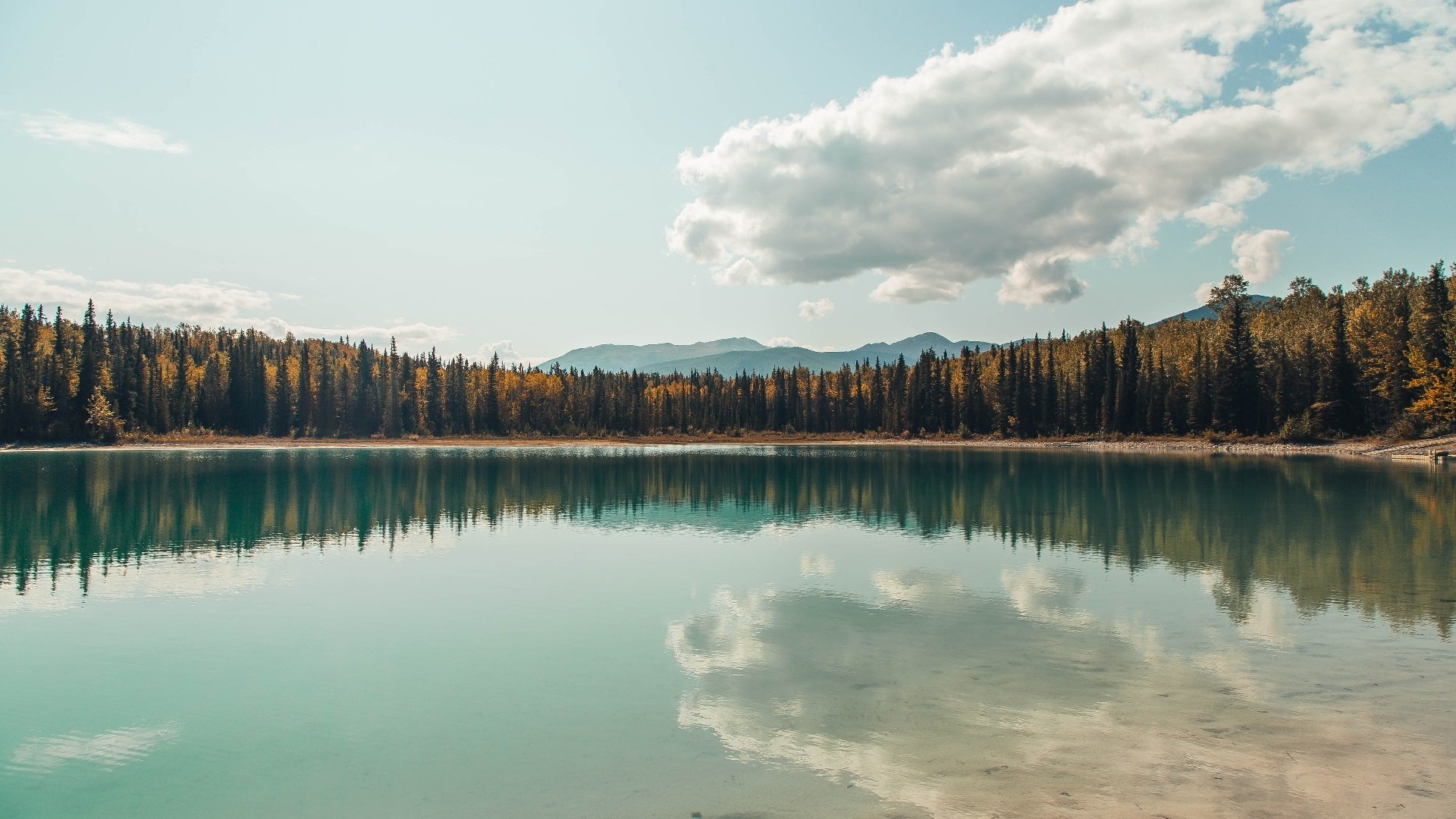 烽火伊斯坦布尔，阿什拉夫单骑破风车，土耳其掀起橙色风暴