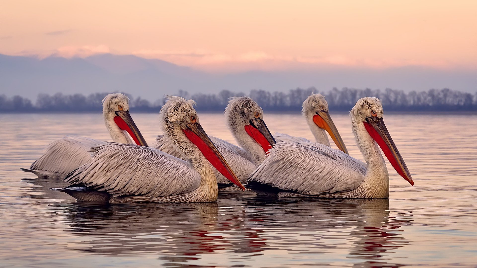从悉尼到纽约，西西帕斯的唯一性逆袭—联合杯意外点燃美网翻盘传奇