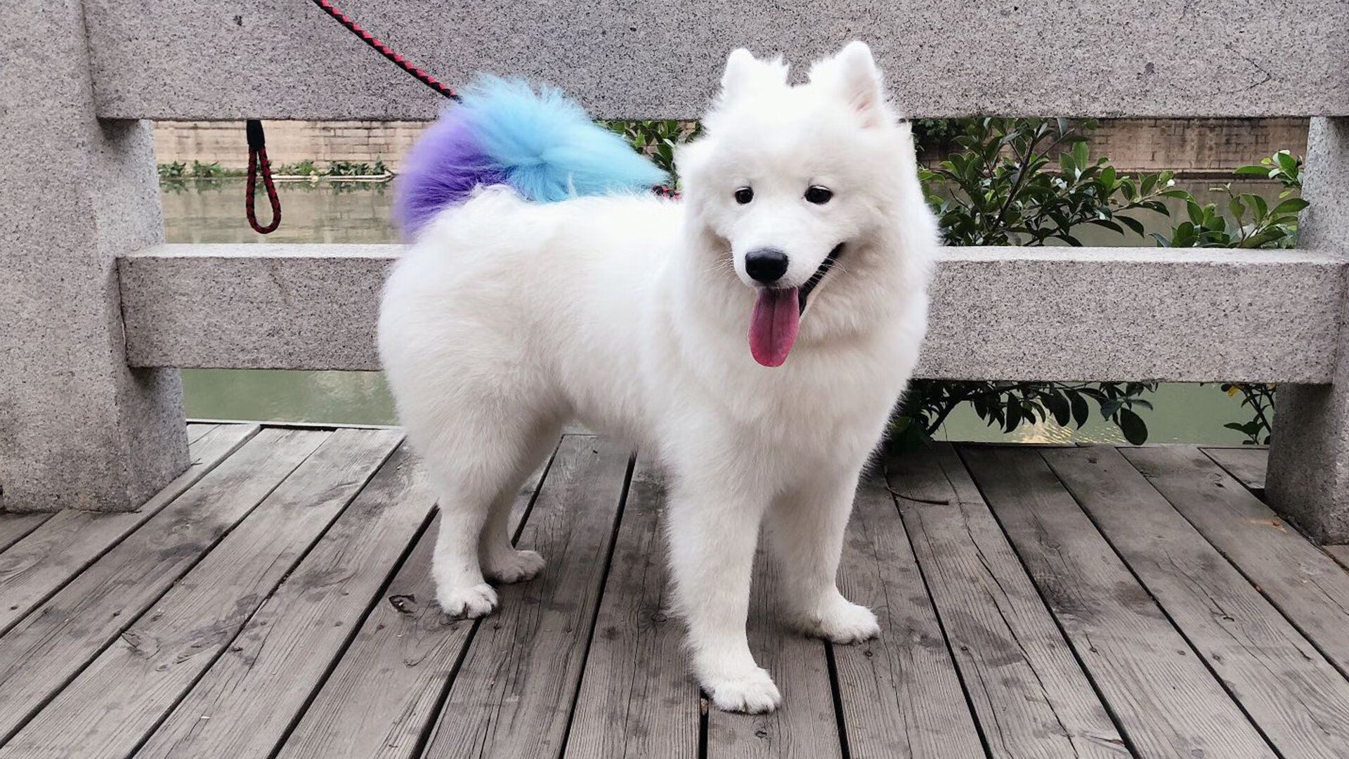 亚洲磐石与南美利刃,当个人闪光点亮团队胜利的星辰