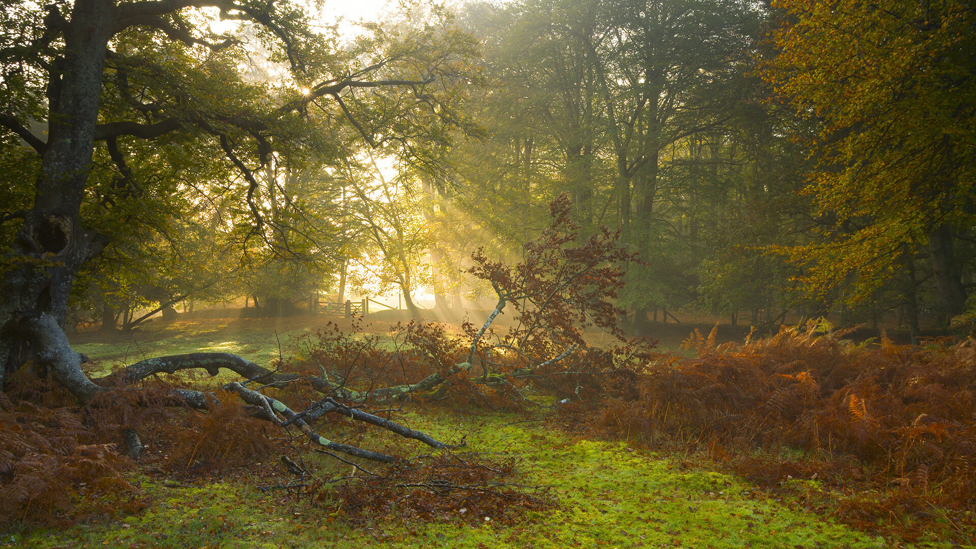 西亚卡姆绝杀时刻,当完美成为雷霆一击,篮球找到它的终极答案