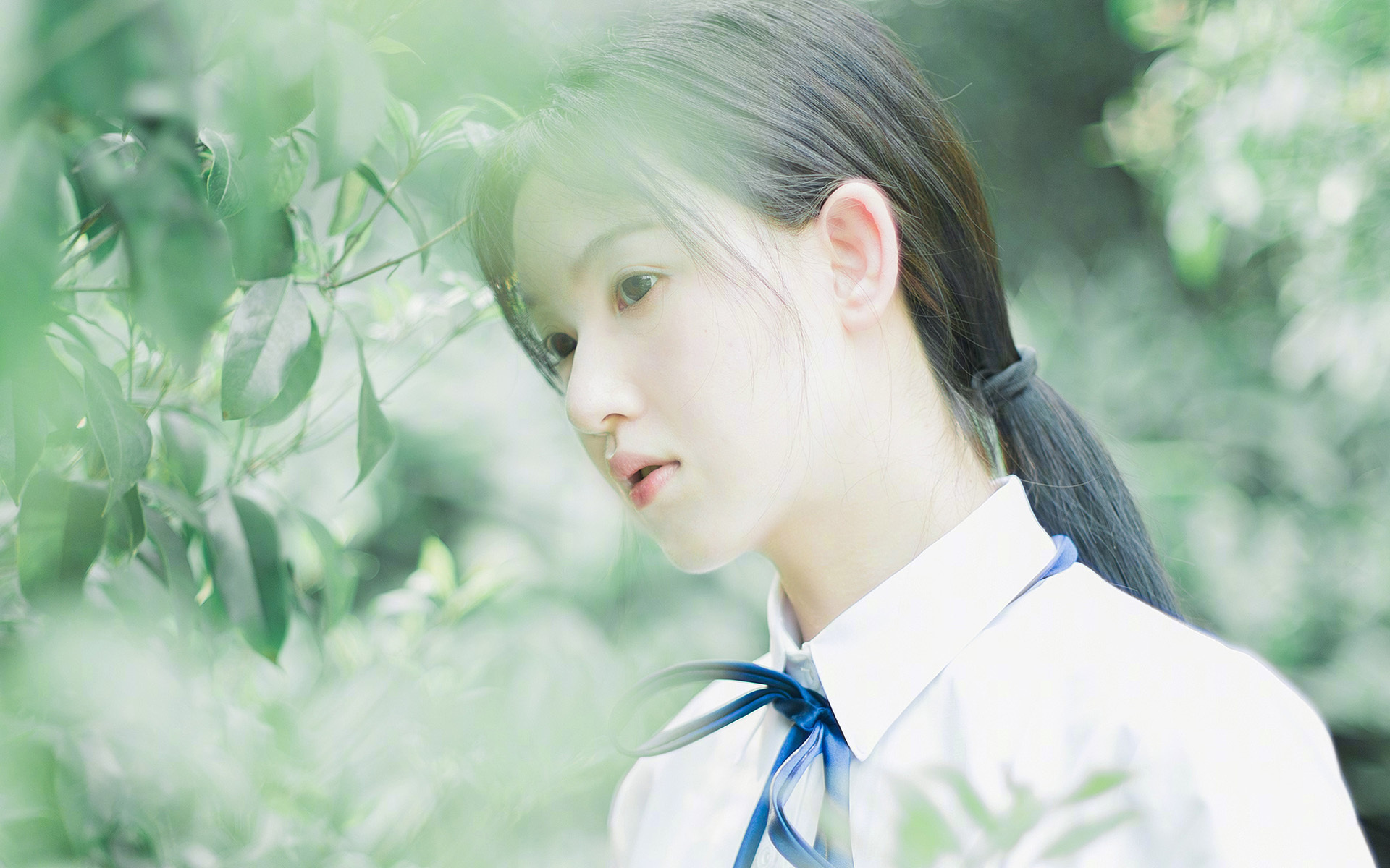 终结悬念!布伦森40+史诗级表演,浙江提前让深圳陷入绝境