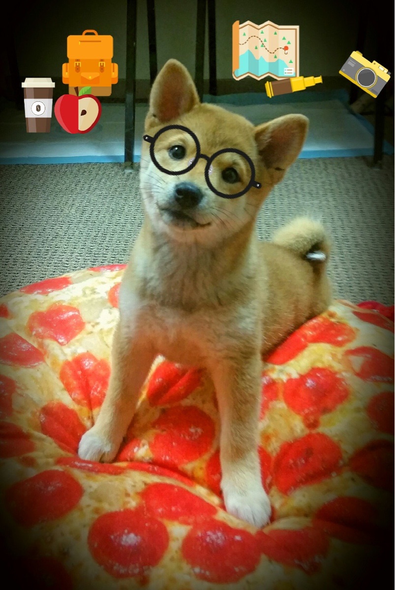 唯一剧本,假如塞维利亚在英超改写争冠格局