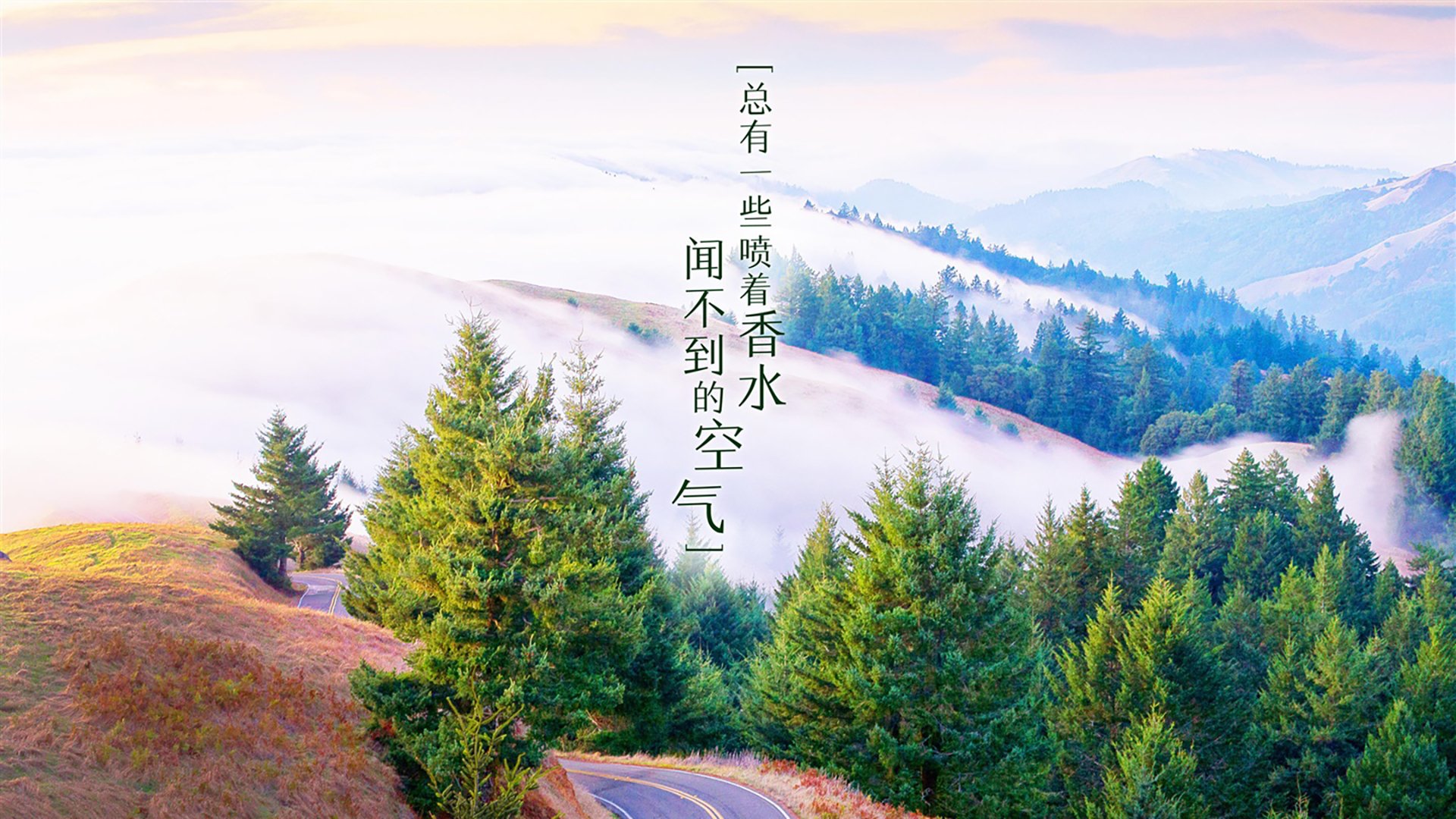 库里导演完美风暴，雷霆客场大胜山西