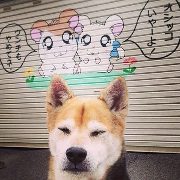 光影对峙，当独奏家爱德华兹的火焰，遇上上海队的无声风暴