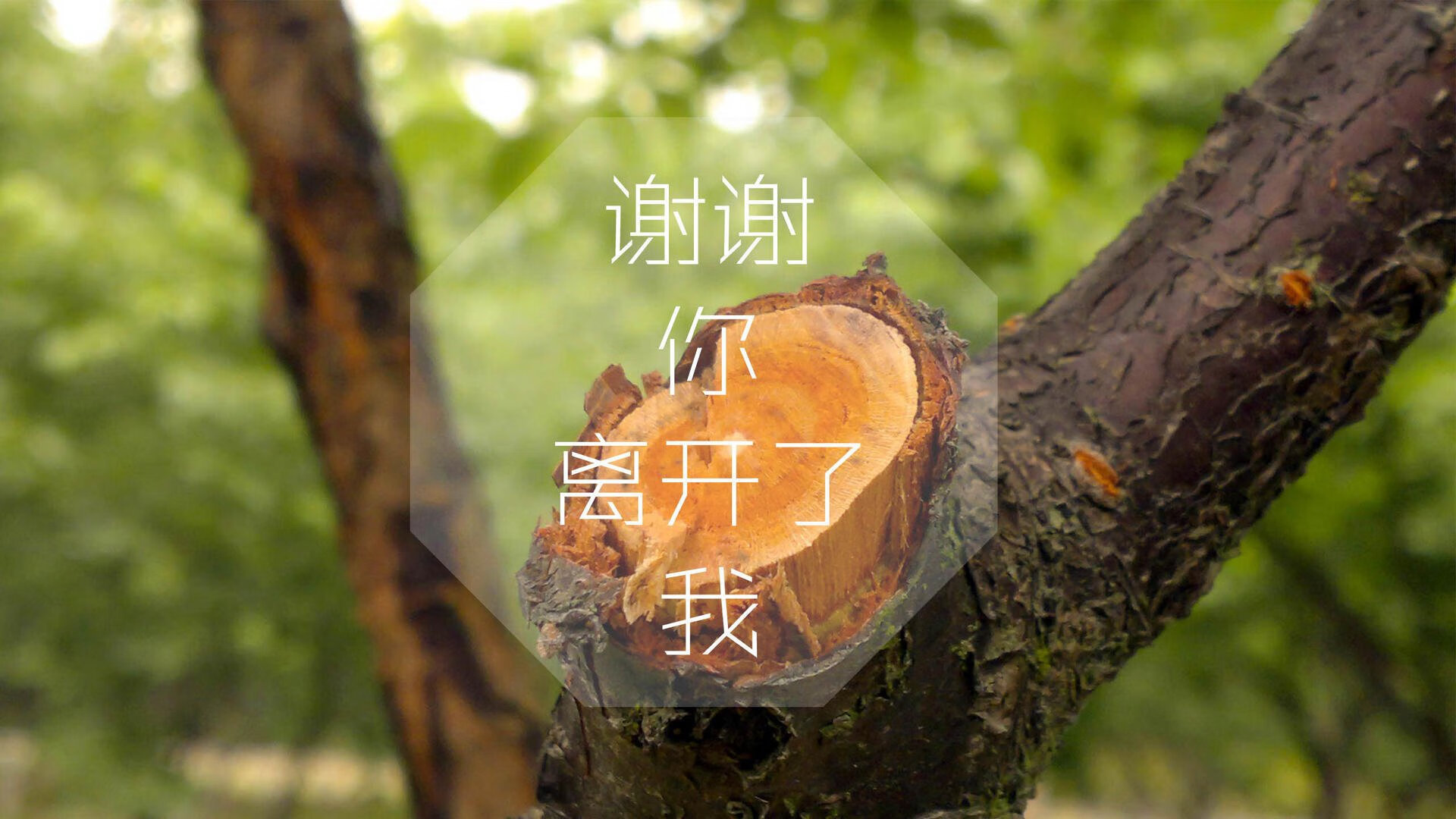 思维扩展，文章标题构思