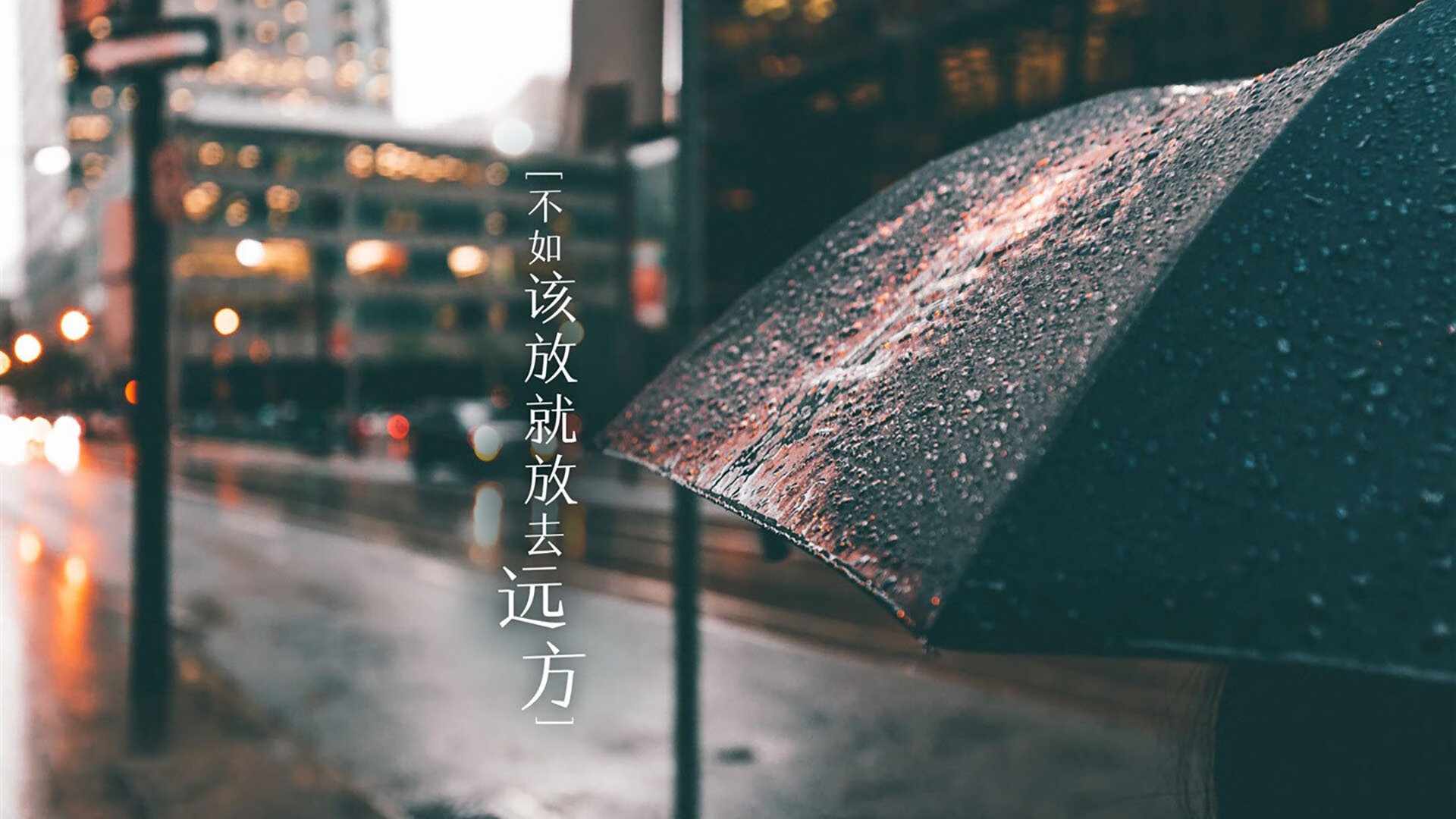 致命一击的宿命，2026世界杯D组，荷兰风暴下的罗马尼亚与苏亚雷斯的最后独白