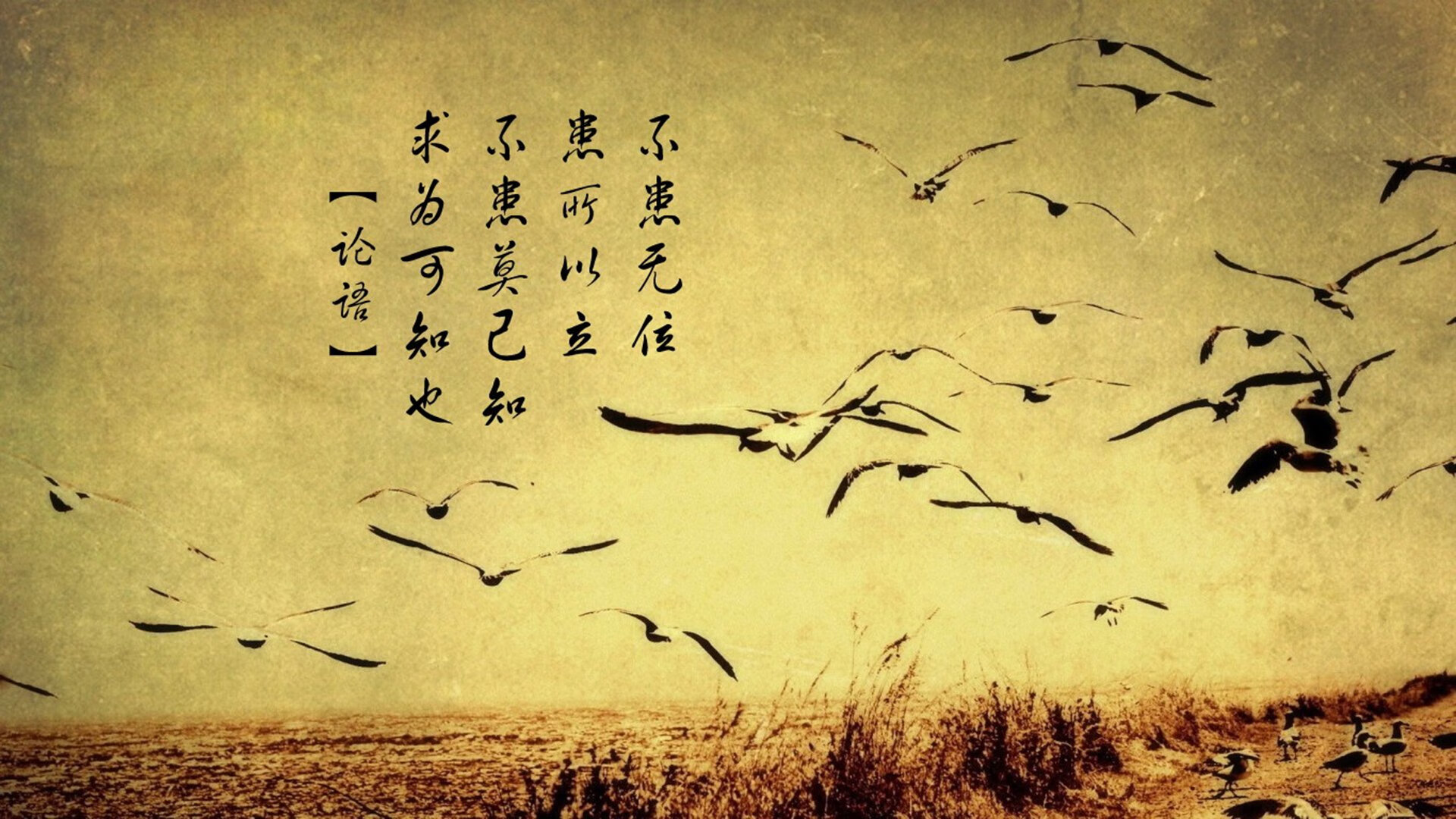 中轴之核,当莱万成为节拍器—2026世界杯E组波兰vs加纳的唯一性叙事
