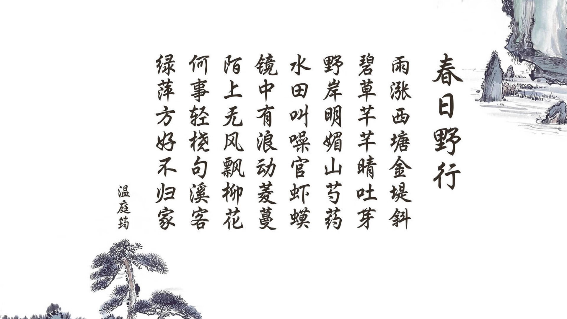 2026世界杯G组首战，新大陆的碰撞，坎塞洛独舞照亮美国胜路